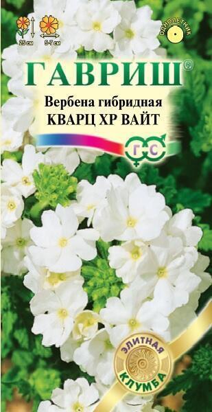 Купить оптом в Ботанике семена Вербена Кварц вайт Гав бренд Гавриш