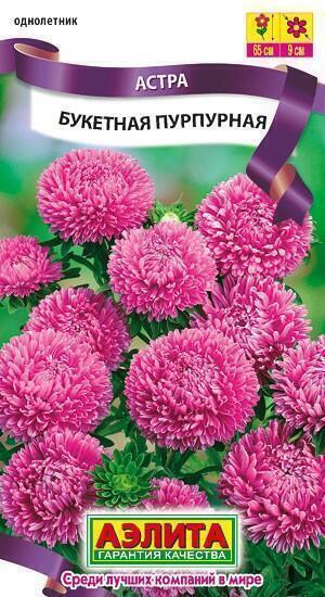 Купить оптом в Ботанике семена Астра Букетная пурпурная Аэл бренд Аэлита