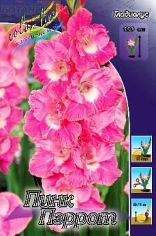 Купить оптом в Ботанике Гладиолус Пинк Пэррот 10 шт