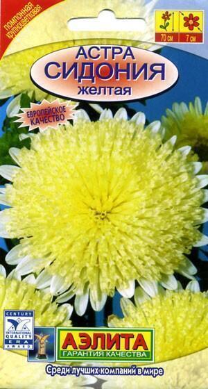 Купить оптом в Ботанике семена Астра Сидония желтая Аэл бренд Аэлита