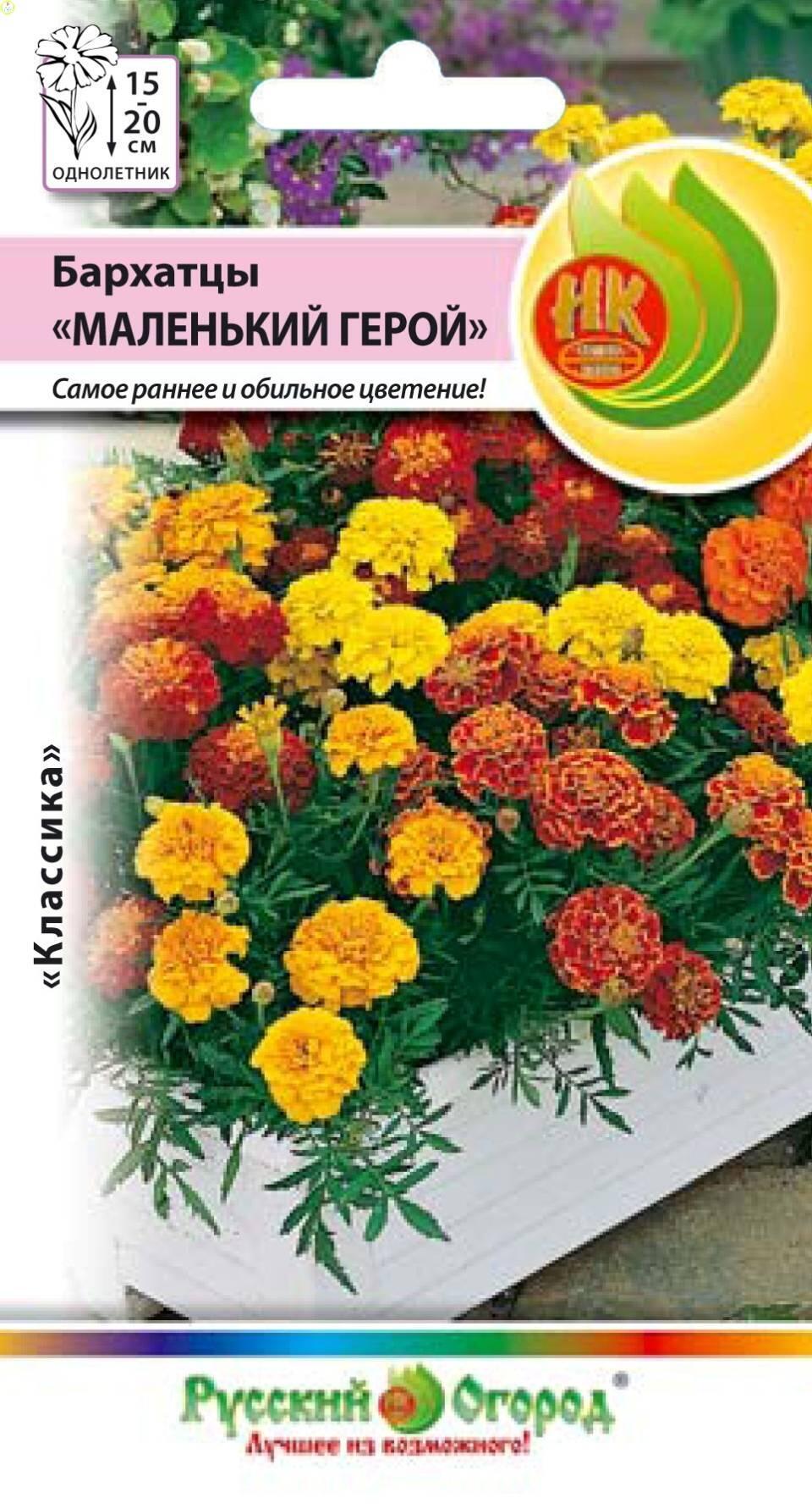 Купить оптом в Ботанике семена Бархатцы Маленький герой НК бренд НК