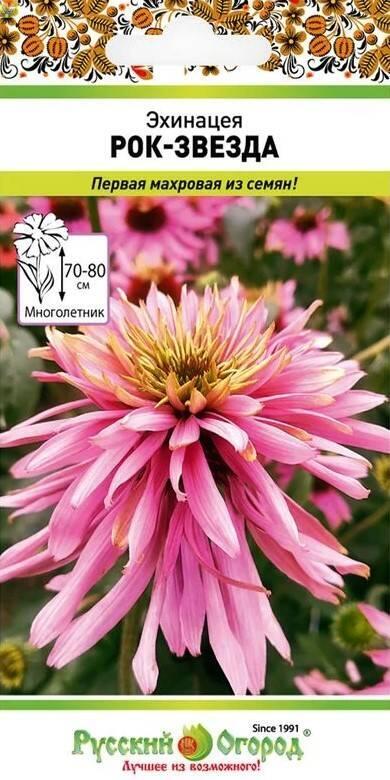 Купить оптом в Ботанике семена Эхинацея Рок-звезда НК бренд НК