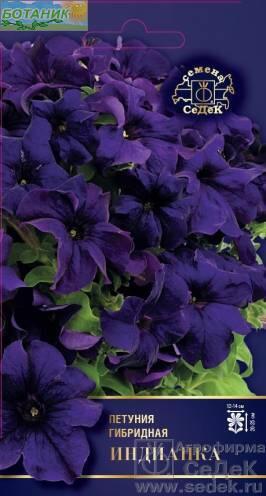 Купить оптом в Ботанике семена Петуния Индианка F1 Сед бренд СеДеК