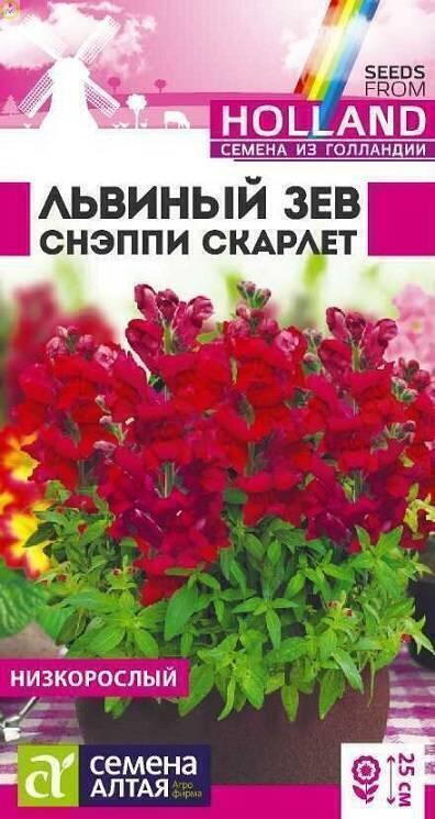 Купить оптом в Ботанике семена Львиный зев Снэппи Скарлет СА бренд Семена Алтая