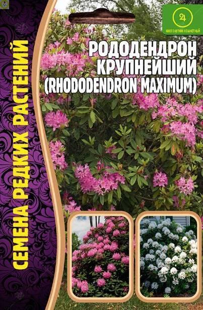 Купить оптом в Ботанике семена Рододендрон крупнейший Реш бренд Решение, ООО