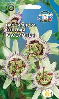 Купить оптом в Ботанике семена Пассифлора Кассиопея Сед бренд СеДеК