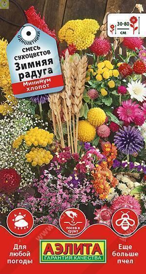 Купить оптом в Ботанике семена Смесь сухоцветов Зимняя радуга Аэл бренд Аэлита