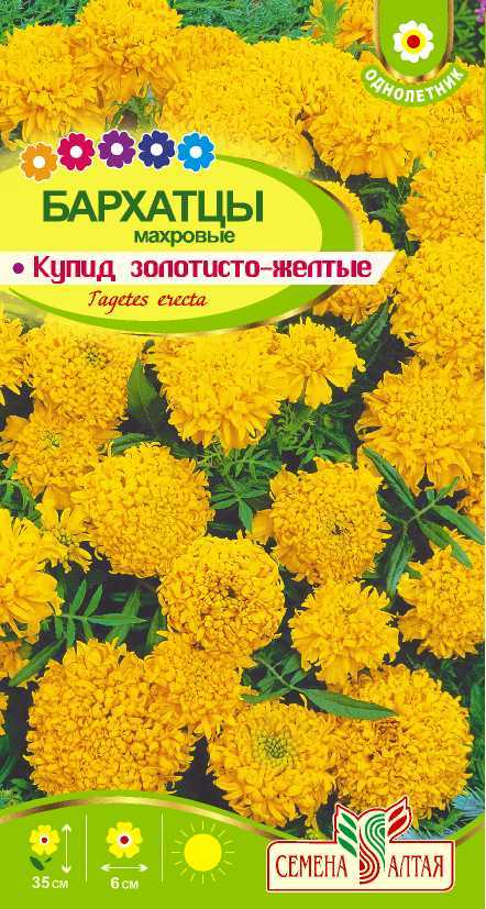 Купить оптом в Ботанике семена Бархатцы Купид золотисто-желтые СА бренд Семена Алтая