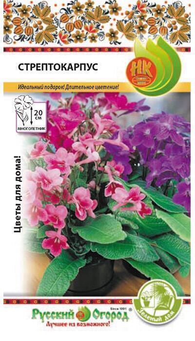 Купить оптом в Ботанике семена Стрептокарпус НК бренд НК