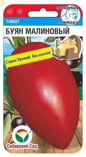 Купить оптом в Ботанике семена Томат Буян малиновый СС бренд Сиб.сад