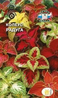 Купить оптом в Ботанике семена Колеус Радуга Сед бренд СеДеК