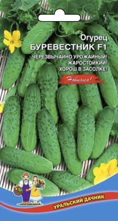 Купить оптом в Ботанике семена Огурец Буревестник F1 УД бренд Уральский дачник
