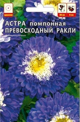 Купить оптом в Ботанике семена Астра Превосходный Ракли СА бренд Семена Алтая