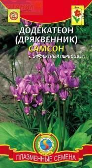 Купить оптом в Ботанике семена Додекатион (дряквенник) Самсон Плз бренд Плазмас