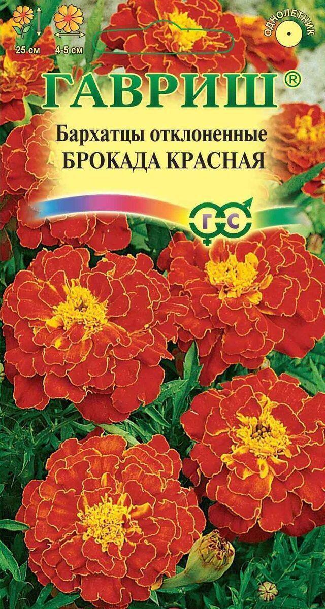 Купить оптом в Ботанике семена Бархатцы Брокада красная отклонённые Гав бренд Гавриш