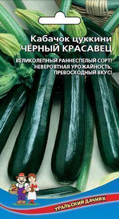 Купить оптом в Ботанике семена Кабачок Черный красавец цуккини УД бренд Уральский дачник