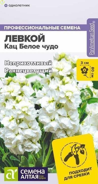 Купить оптом в Ботанике семена Левкой Кац Белое чудо СА бренд Семена Алтая