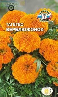 Купить оптом в Ботанике семена Бархатцы Верблюжонок Сед бренд СеДеК