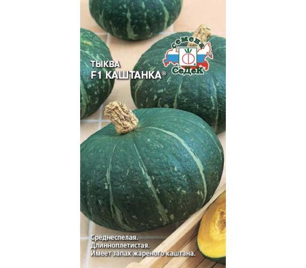 Купить оптом в Ботанике семена Тыква Каштанка Сед бренд СеДеК