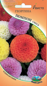 Купить оптом в Ботанике семена Георгина Помпон смесь Ав бренд Ависта