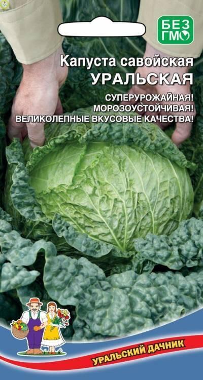 Купить оптом в Ботанике семена Капуста савойская Уральская УД бренд Уральский дачник