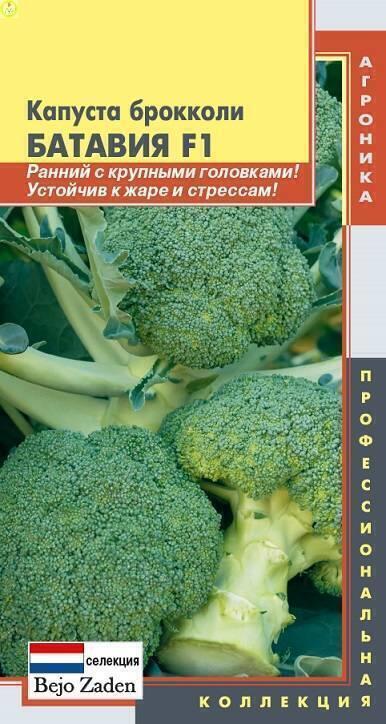 Купить оптом в Ботанике семена Капуста брокколи Батавия F1 Плз бренд Плазмас