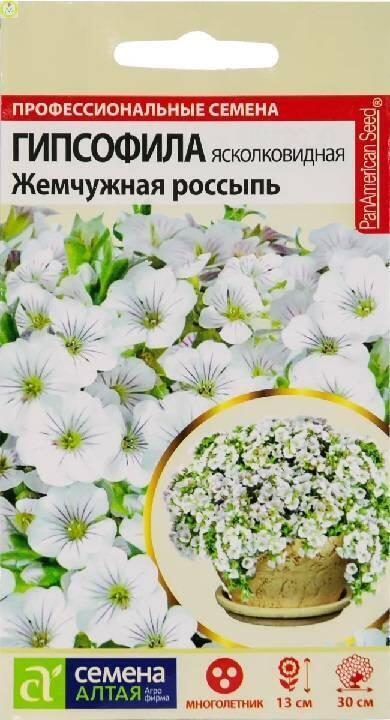 Купить оптом в Ботанике семена Гипсофила Жемчужная россыпь многолетняя СА бренд Семена Алтая