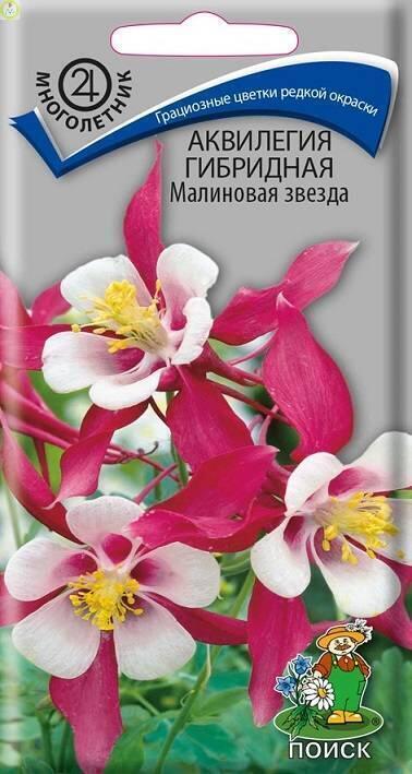 Купить оптом в Ботанике семена Аквилегия Малиновая звезда Поиск бренд Поиск