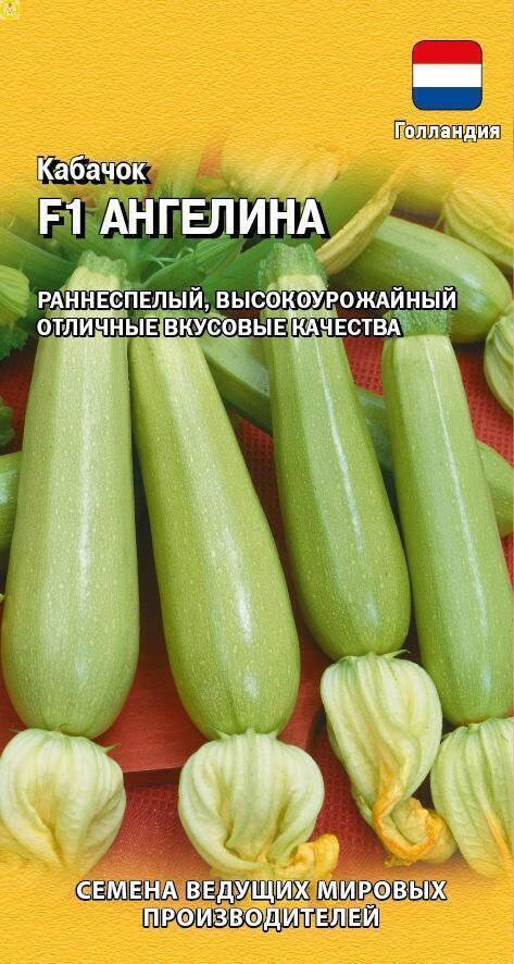 Купить оптом в Ботанике семена Кабачок Ангелина F1 Гав бренд Гавриш