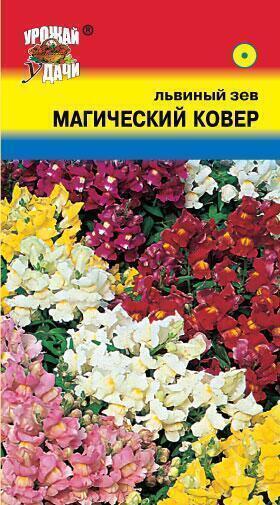 Купить оптом в Ботанике семена Львиный зев Магический ковер УУ бренд Урожай Удачи
