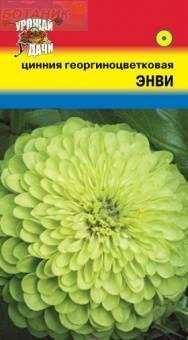 Купить оптом в Ботанике семена Цинния Энви УУ бренд Урожай Удачи