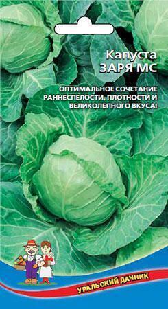 Купить оптом в Ботанике семена Капуста белокочанная Заря МС УД бренд Уральский дачник