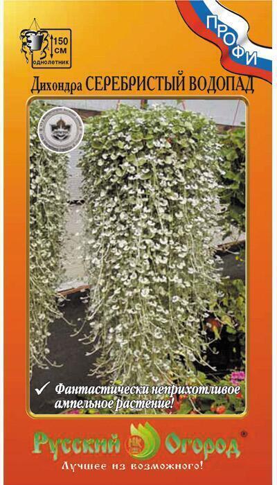 Купить оптом в Ботанике семена Дихондра Серебристый водопад НК бренд НК