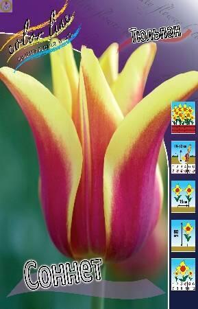 Купить оптом в Ботанике Тюльпан Соннет 8 шт