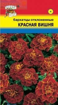 Купить оптом в Ботанике семена Бархатцы Красная вишня УУ бренд Урожай Удачи