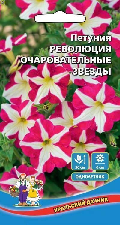 Купить оптом в Ботанике семена Петуния Революция Очаровательные звезды УД бренд Уральский дачник