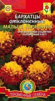 Купить оптом в Ботанике семена Бархатцы Малыш гармония отклоненные Плз бренд Плазмас