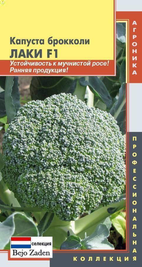 Купить оптом в Ботанике семена Капуста брокколи Лаки Плз бренд Плазмас