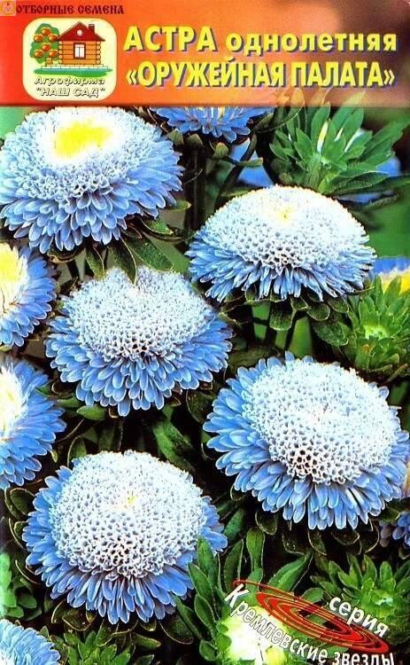 Купить оптом в Ботанике семена Астра Оружейная палата Наш бренд Наш сад