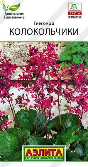 Купить оптом в Ботанике семена Гейхера Колокольчики Аэл бренд Аэлита