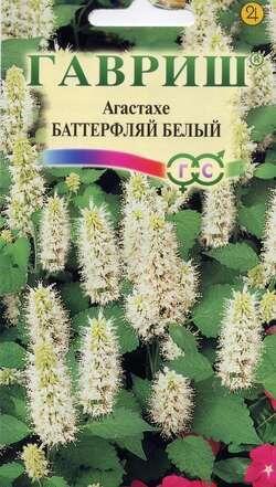 Купить оптом в Ботанике семена Агастахе Баттерфляй белый Гав бренд Гавриш