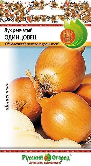 Купить оптом в Ботанике семена Лук репчатый Одинцовец НК бренд НК