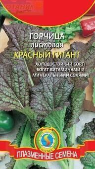 Купить оптом в Ботанике семена Горчица Красный гигант Плз бренд Плазмас