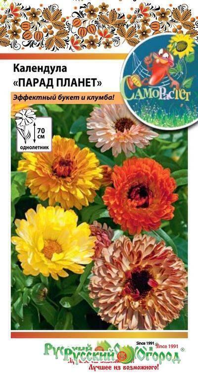 Купить оптом в Ботанике семена Календула Парад планет смесь НК бренд НК
