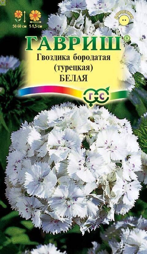 Купить оптом в Ботанике семена Гвоздика бородатая Белая Гав бренд Гавриш