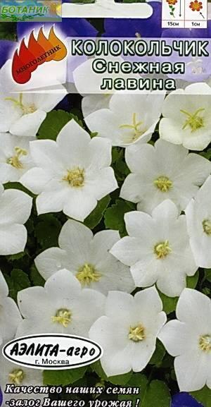 Купить оптом в Ботанике семена Колокольчик Снежная лавина Аэл бренд Аэлита