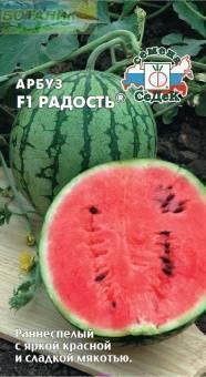 Купить оптом в Ботанике семена Арбуз Радость F1 Сед бренд СеДеК