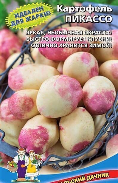 Купить оптом в Ботанике семена Картофель Пикассо УД бренд Уральский дачник, Марс