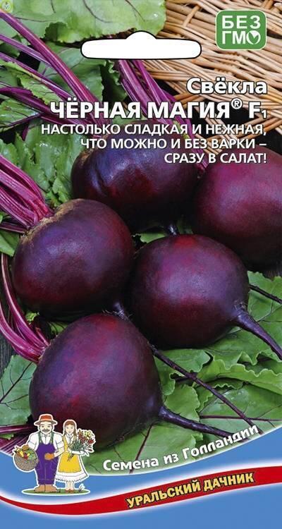 Купить оптом в Ботанике семена Свекла Черная Магия F1 УД бренд Уральский дачник