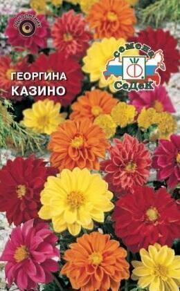 Купить оптом в Ботанике семена Георгина Казино Сед бренд СеДеК